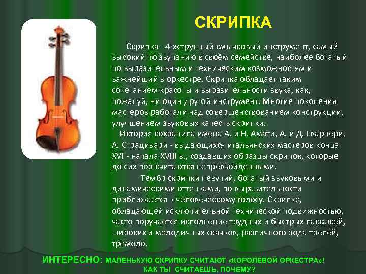 Скрипка номер 2 5. Рассказать о скрипке. Скрипка музыкальный инструмент. Сообщение о скрипке. Инструменты симфонического оркестра скрипка.