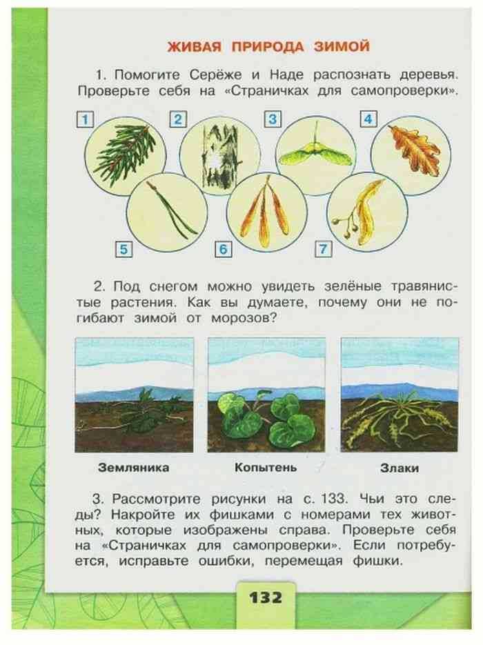 Окружающий мир второго класса. Окружающий мир 2 класс. Окружающий мир 2 класс учебник 1 часть. Окружающий мир 1 класс 2 часть. Учебник окружающего мира 2 класс 1 часть.