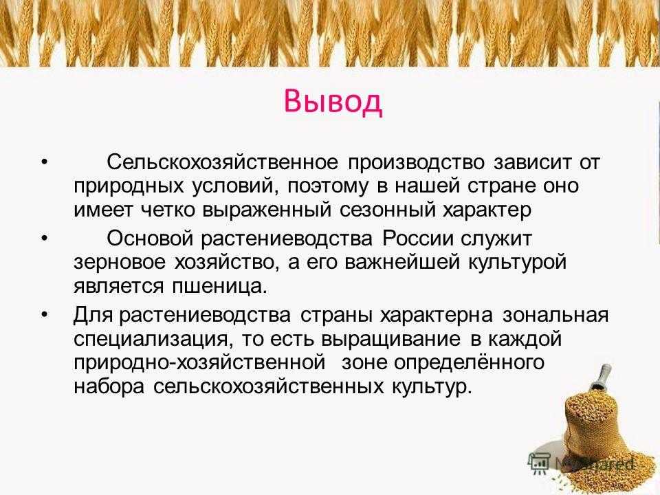 От чего зависит специализация сельского хозяйства. Сельское хозяйство вывод. Растениеводство вывод. Вывод сельскохозяйственных культур. Вывод по сельскому хозяйству России.