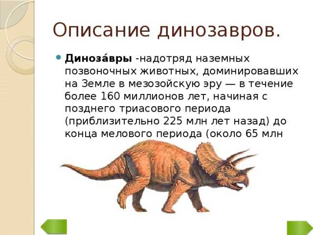 Опиши динозавра. Доклад о динозаврах 5 класс по биологии. Описание динозавров. Динозавры краткое описание. Динозавры описание для детей.