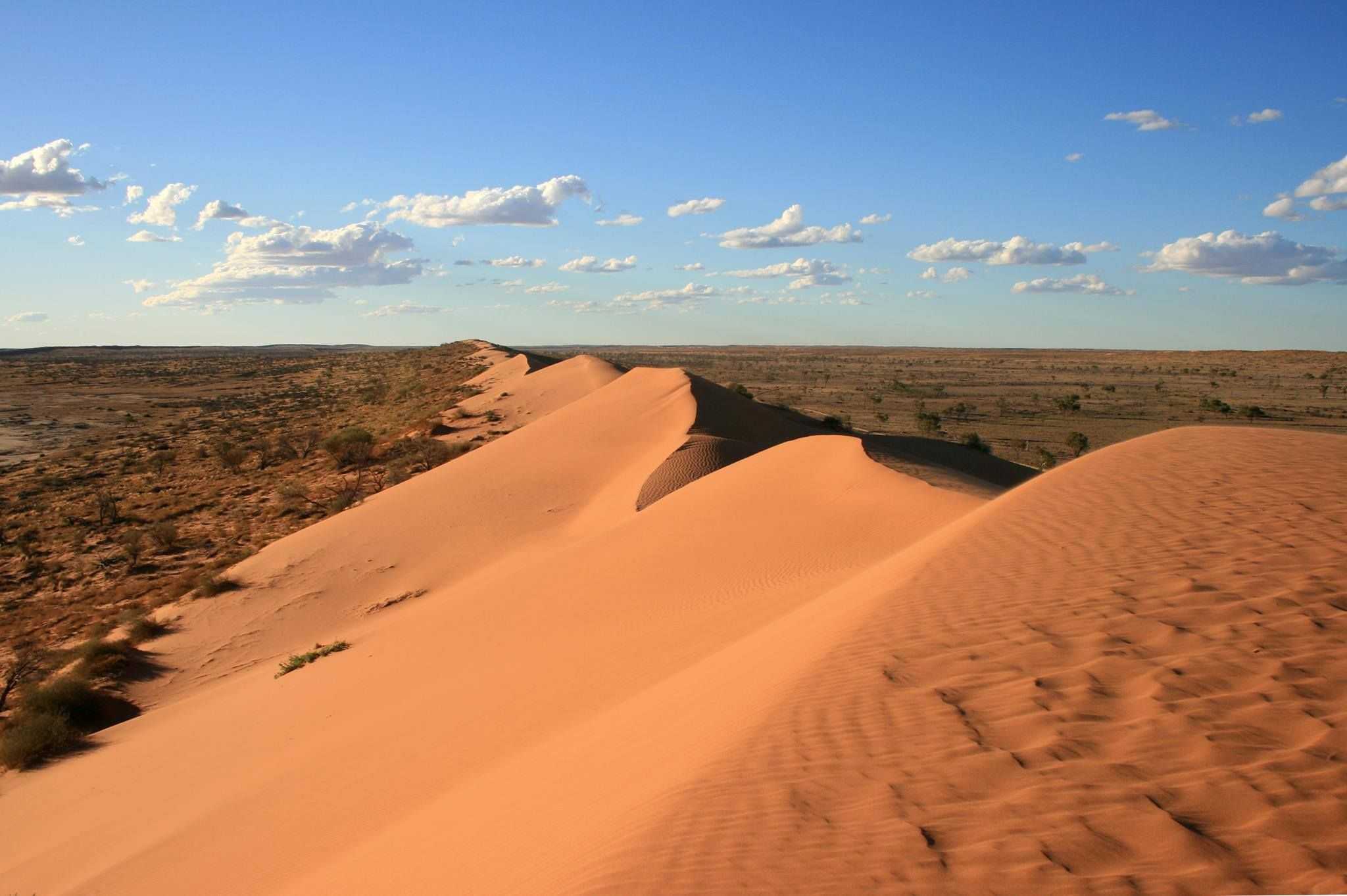 Пустыня гибсона австралия. Национальный парк симпсон Дезерт. Большая Песчаная пустыня в Австралии. Парк симпсон-Дезерт в Австралии. Пустыня Симпсона в Австралии.