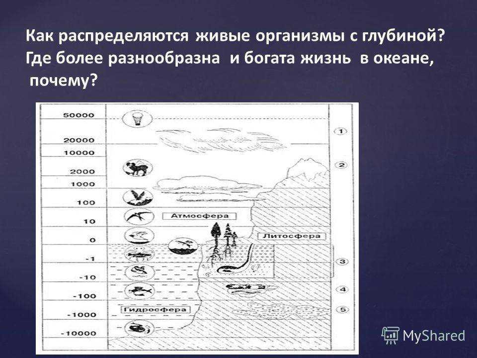 Схема глубинных зон океана 5 класс распечатать