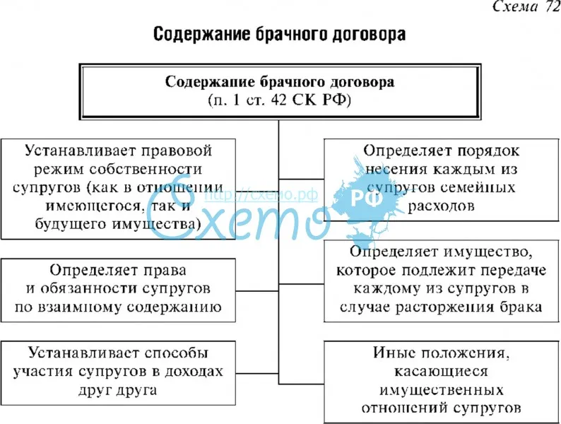 Глава 8 договорный режим имущества супругов план текста