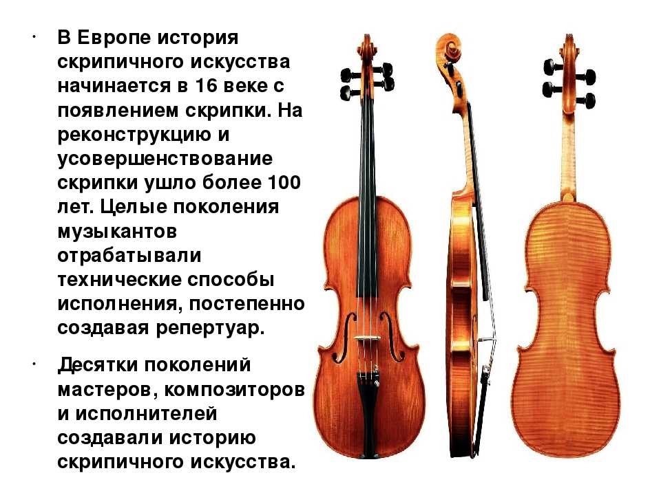 Мастер класс скрипки