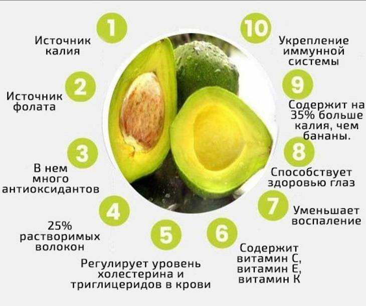Какие жиры в авокадо