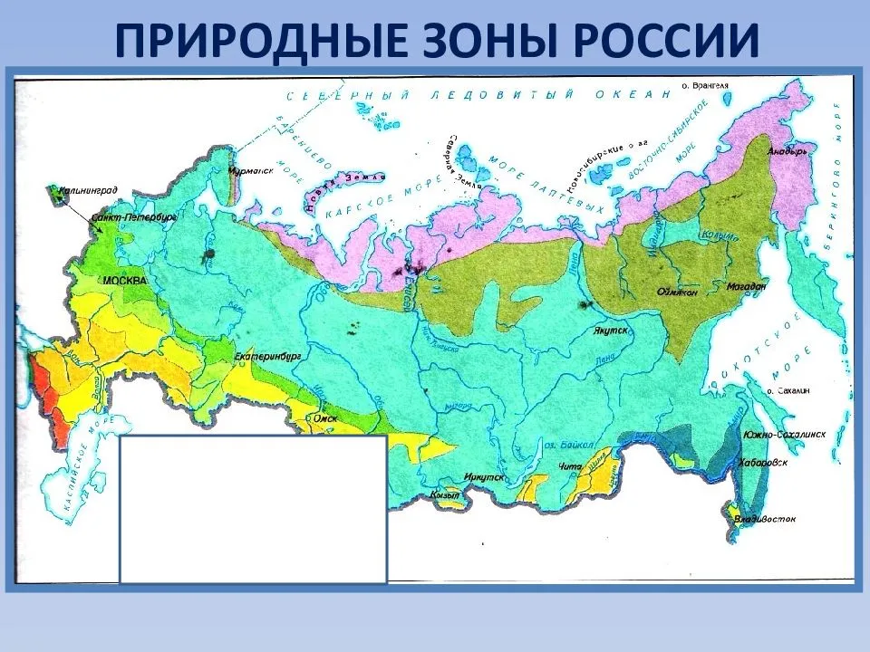 Карта природных зон россии фото