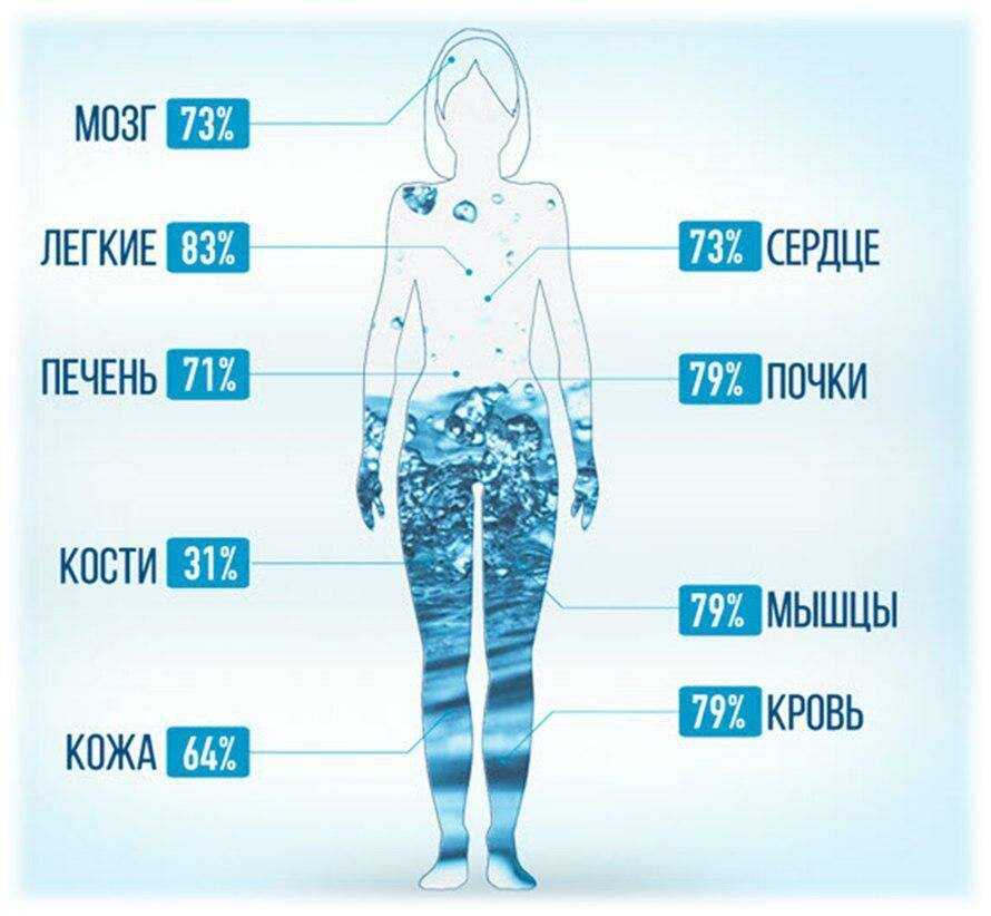 Влияние воды в жизни человека картинки