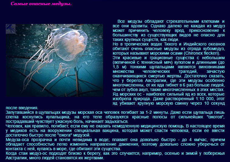 Самое самое биология. Рассказ о Медузе. Сообщение о Медузе. Доклад о медузах. Сообщение о медузах 7 класс по биологии.