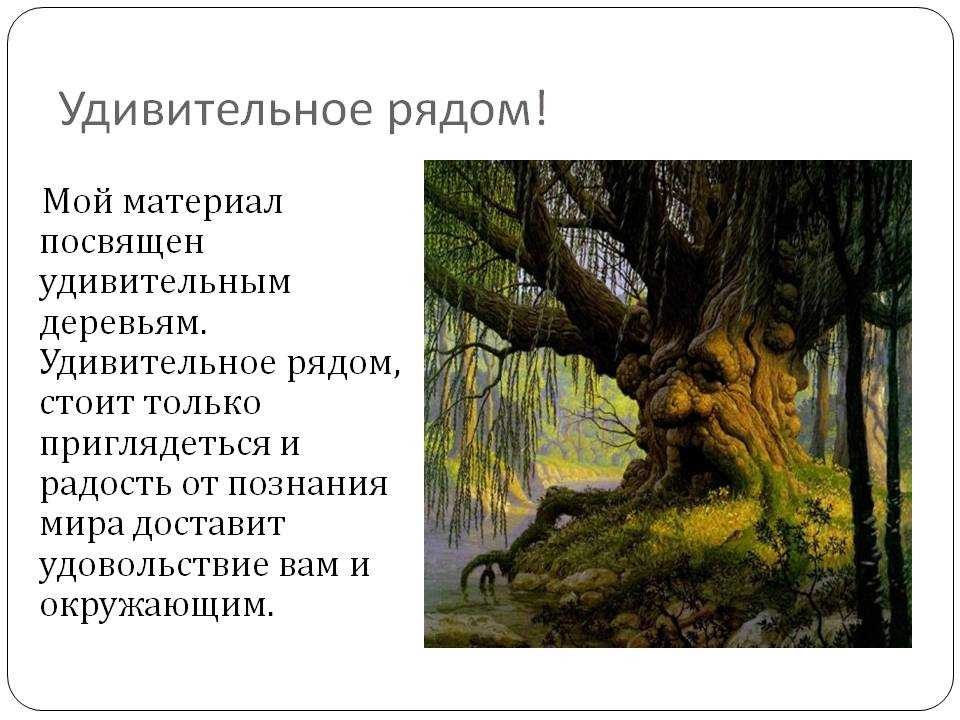 Сочинение удивительная работа. Удивительное рядом презентация. Сочинение на тему удивительное рядом. Удивительное рядом презентация 1 класс. Проект удивительное рядом 3 класс.