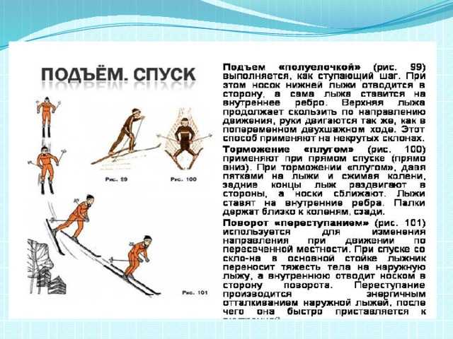 Место и значение лыжного спорта в системе физического воспитания проект