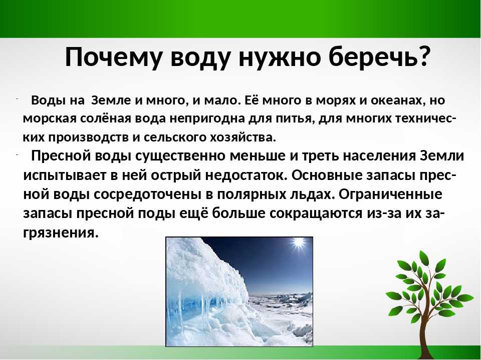 Проект беречь воду