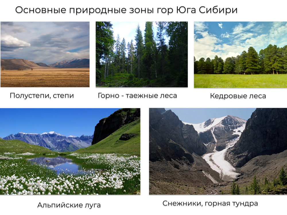 Природные зоны фото 4 класс. Растительный мир гор Южной Сибири. Природные зоны гор. Природные зоны Южной Сибири. Природные зоны в горах.