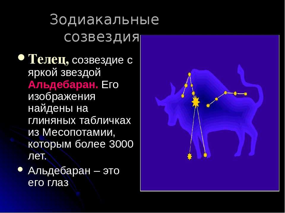 Проект 2 класс знаки зодиака