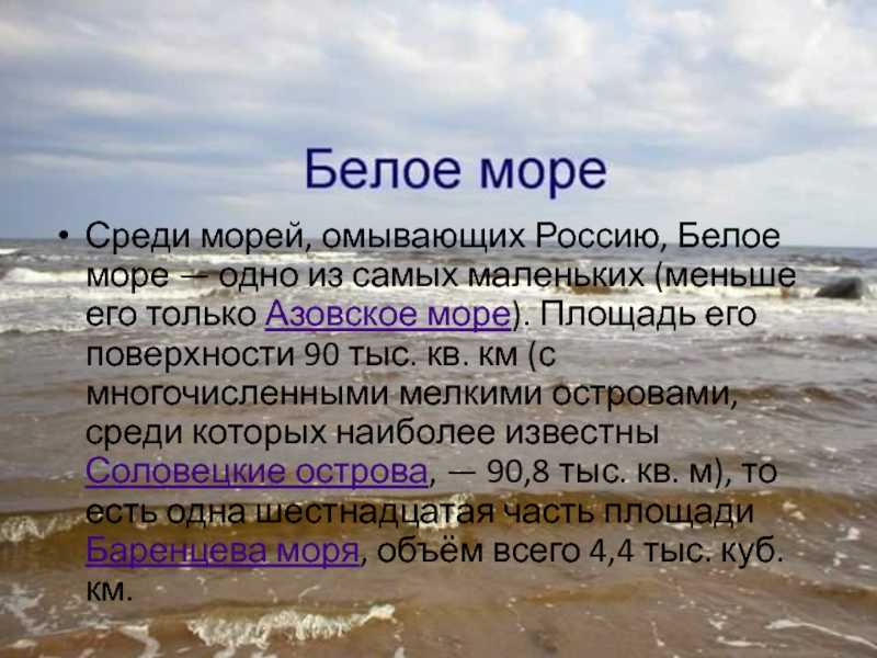 Проект белое море