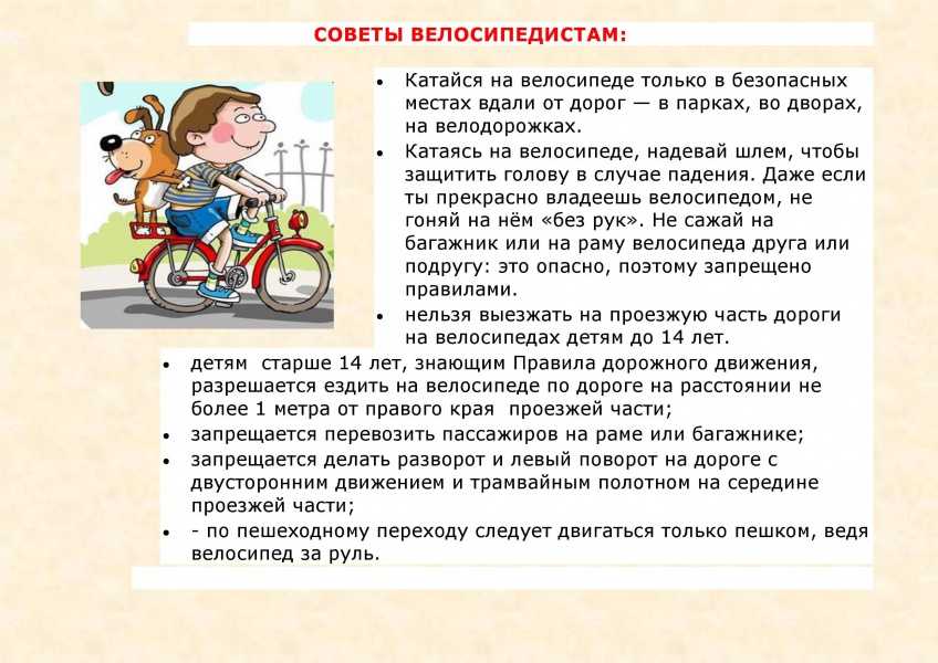 Безопасное поведение на дорогах велосипедистов и водителей мопедов 8 класс обж презентация