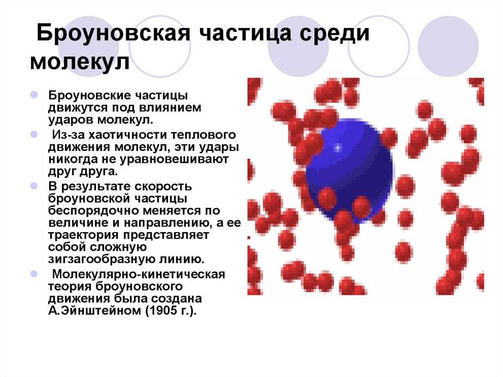 Броуновские частицы являются. Основные положения молекулярно-кинетической теории. Броуновское движение диффузия. Что такое броуновская частица. Три основных положения молекулярно-кинетической теории.