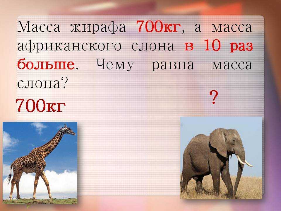 Масса слона 5 тонн это на 4. Сколько весит слон. Масса слона. Масса африканского слона. Вес африканского слона.