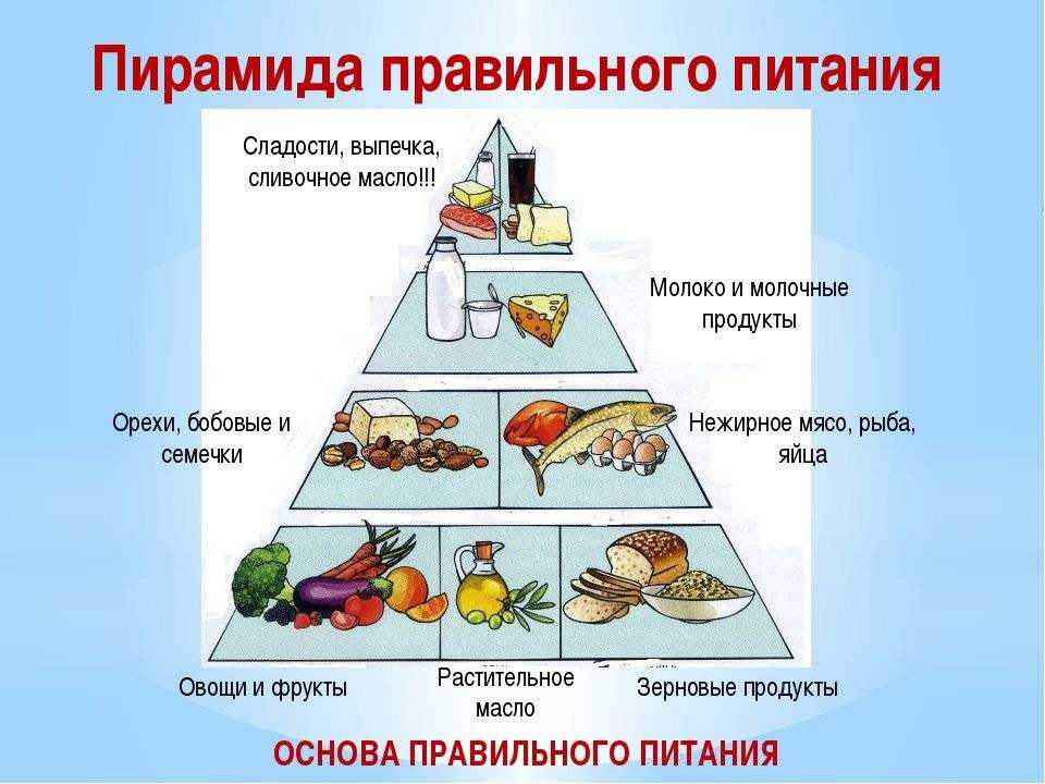 Схема рационального питания