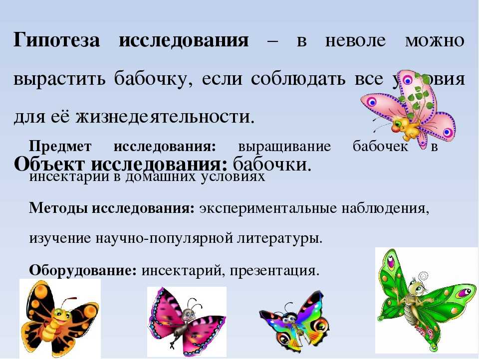 Проект выращивание бабочек в домашних условиях