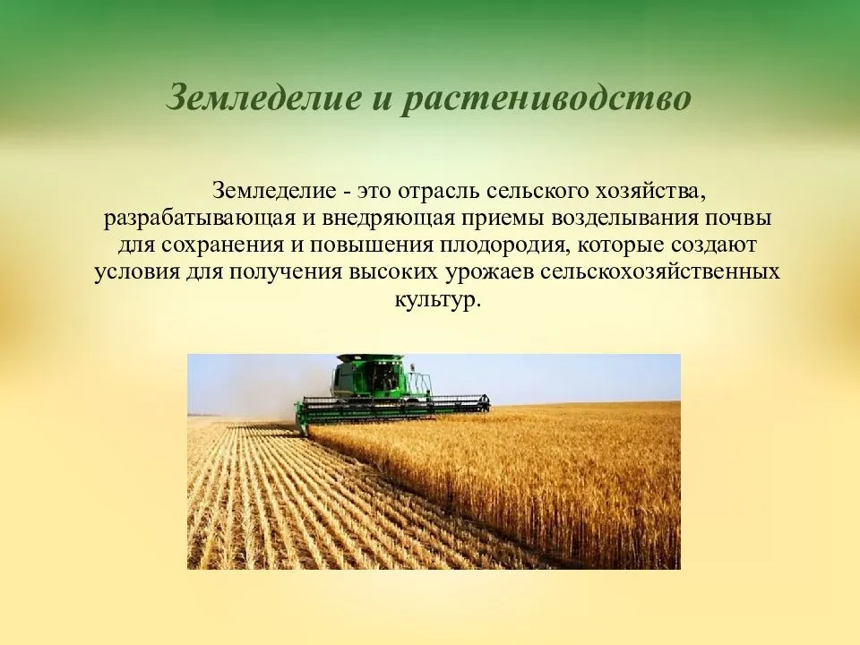 Дайте характеристику отрасли растениеводства по выбору по плану значение и место