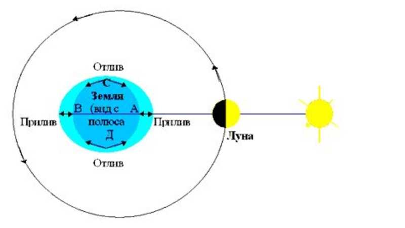 Притяжение солнцем земли. Приливы и отливы влияние Луны схема. Механизм явления приливов и отливов на земле схема. Земля Луна отлив прилив схема. Приливы и Луна схема.