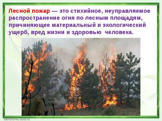 Лесные пожары вопросы. Последствия лесных пожаров. Влияние лесных пожаров. Природная катастрофа пожар лесов. Последствия лесных пожаров для природы.