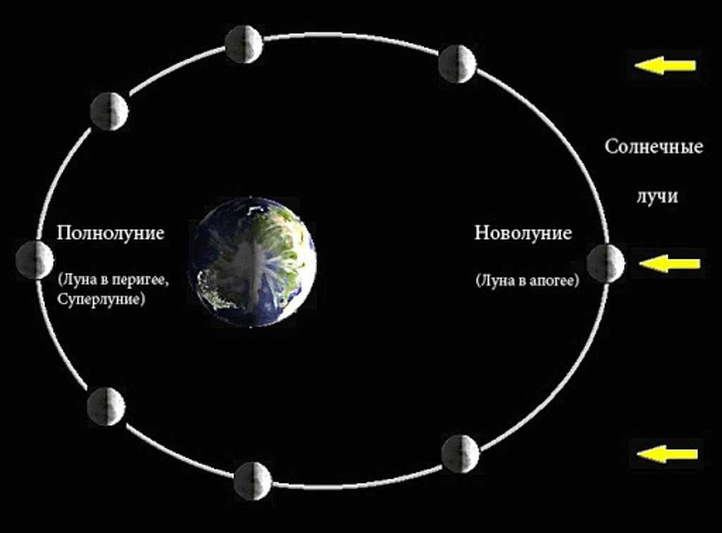 Движение вокруг луны происходит. Движение земли и Луны. Движение Луны схема. Движение Луны вокруг земли. Движение Луны вокруг солнца.
