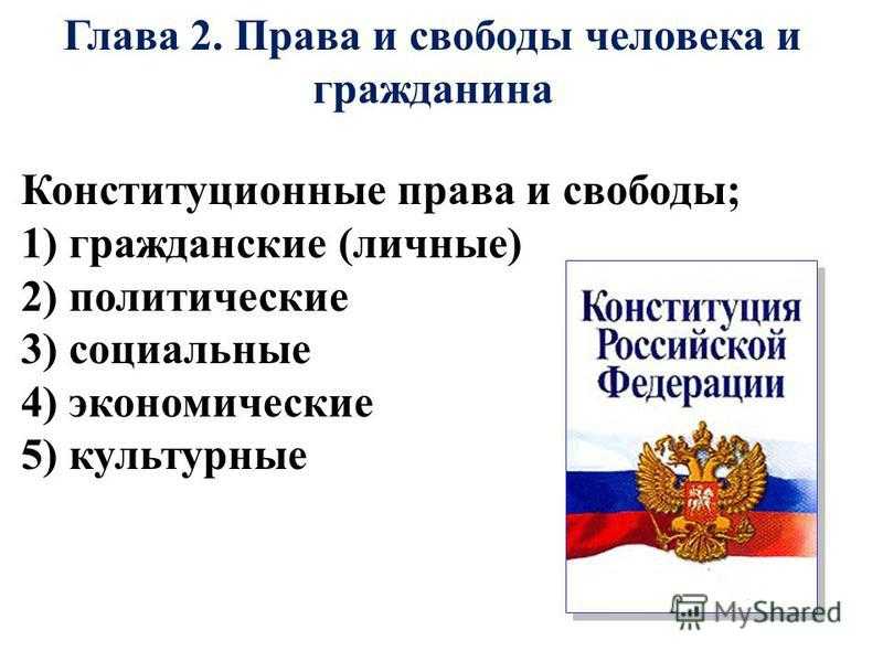 Права и свободы гражданина в рф проект