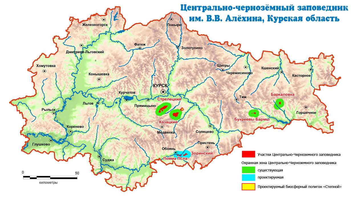 Пены курская область карта