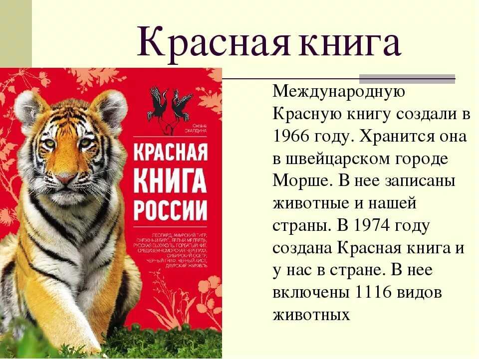 Красная книга картинки для презентации и животными и растениями