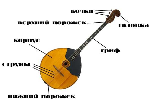 Домра интернет тарифы. Части домры. Устройство домры. Название частей домры. Домра строение инструмента.