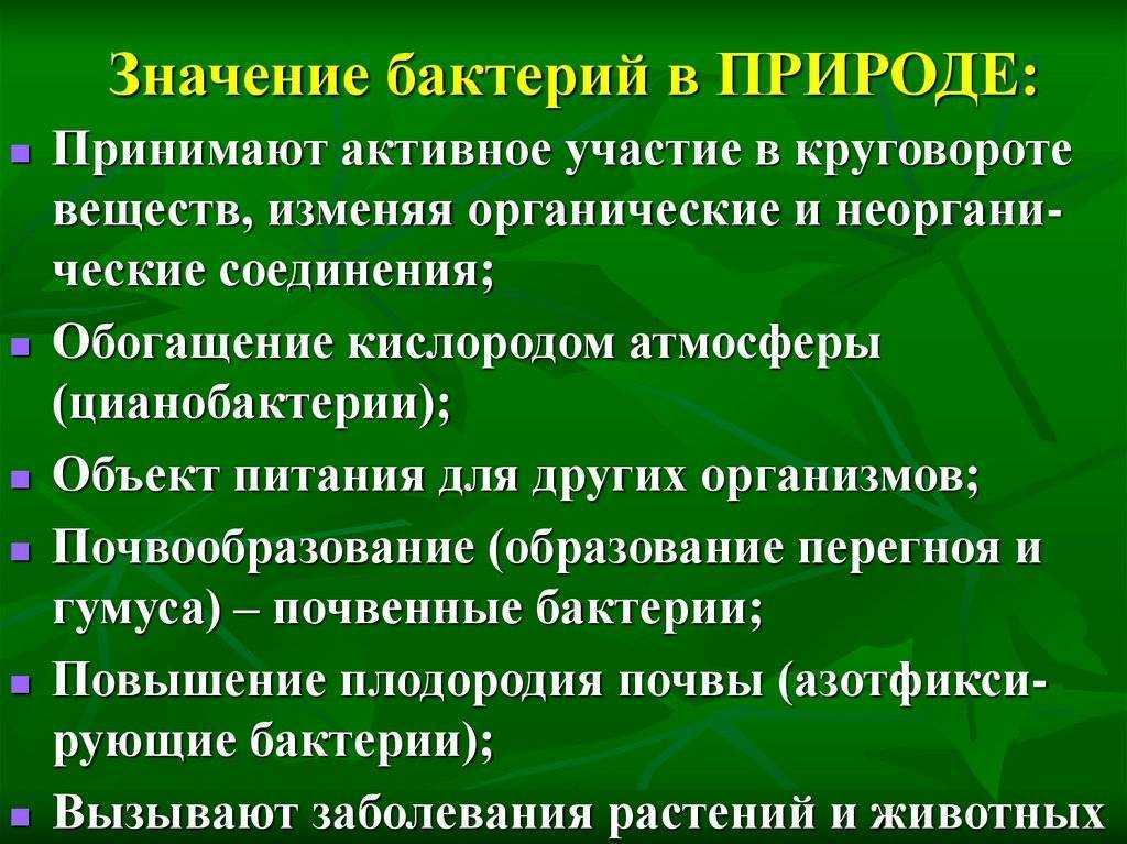 Роль бактерий в природе и жизни человека презентация 7 класс