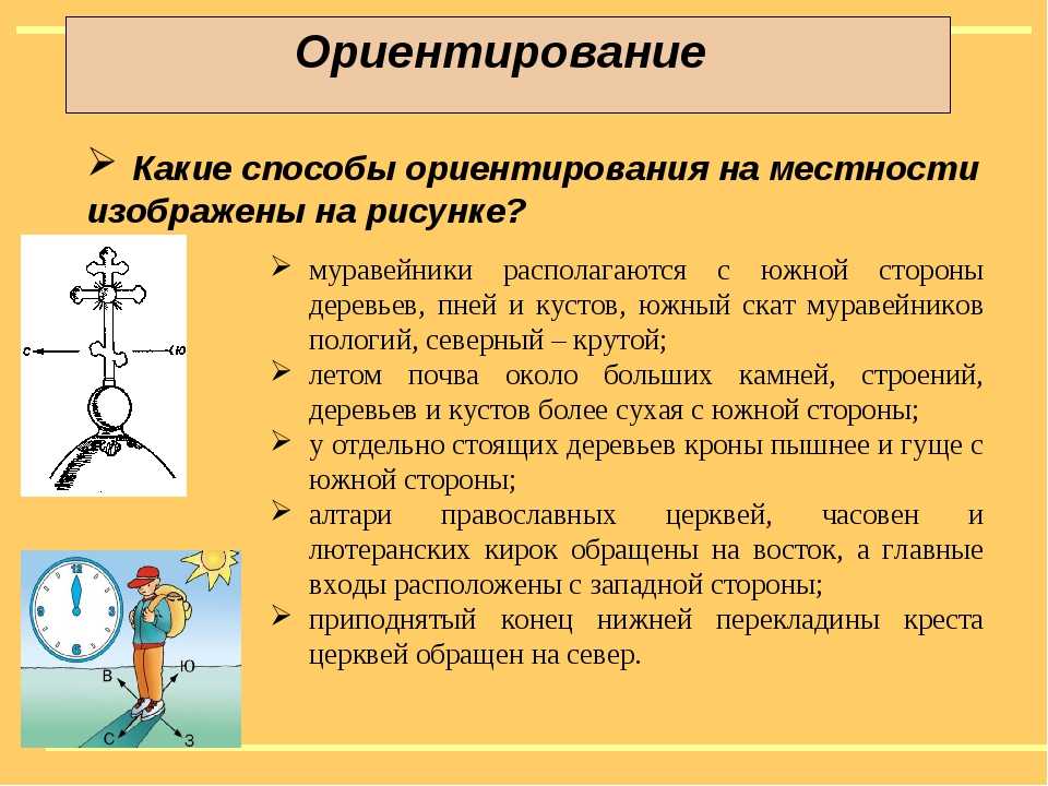 Презентация на тему правила ориентирования на местности