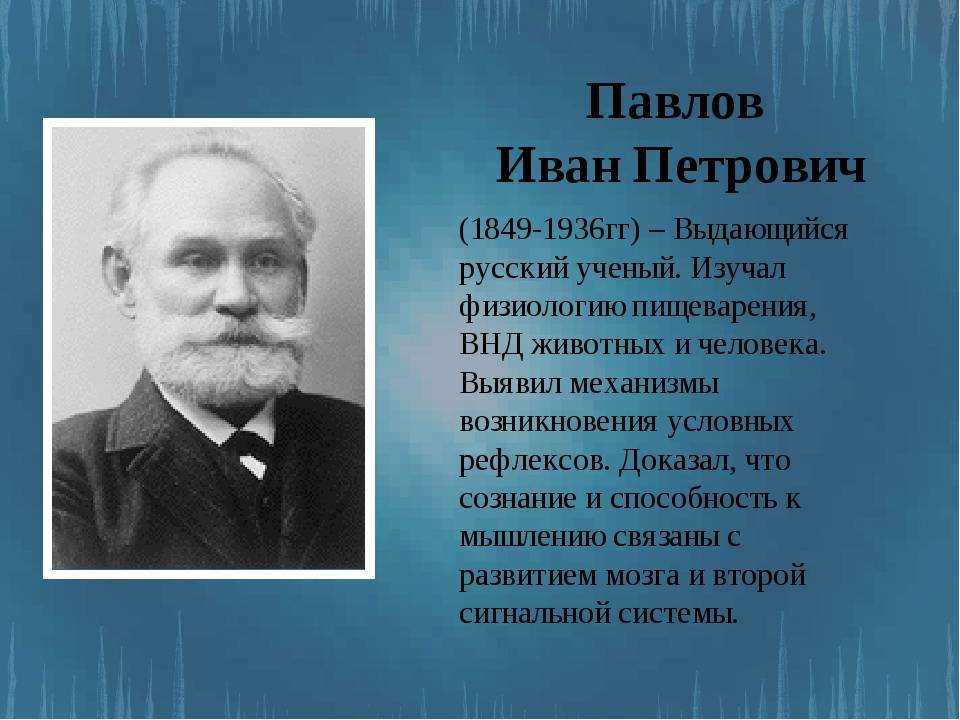 Краткая биография павловой. Ивана Петровича Павлова(1849 – 1936). Иван Петрович Павлов 1849. Иван Петрович Павлов (1849-1936) — учитель теории рефлексов. Иван Петрович Павлов (1849 - 1939).