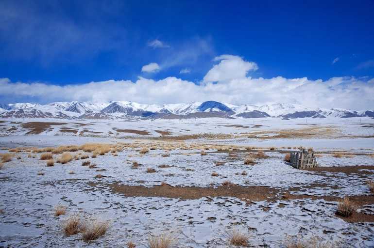 Климат арктики фото