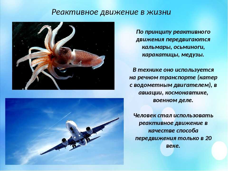 Примеры реактивного движения. Реактивное движение. Реактивное движение в природе. Реактивное движение в природе и технике.