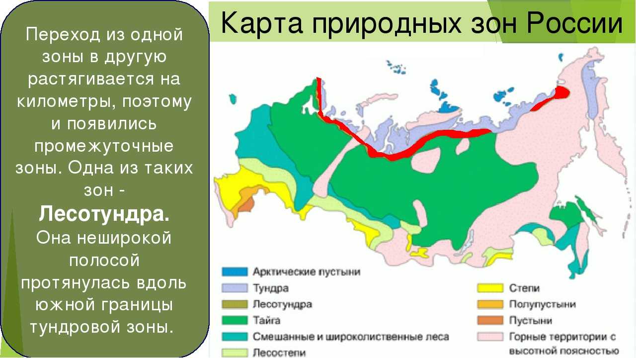 Природные зоны картинка 4 класс