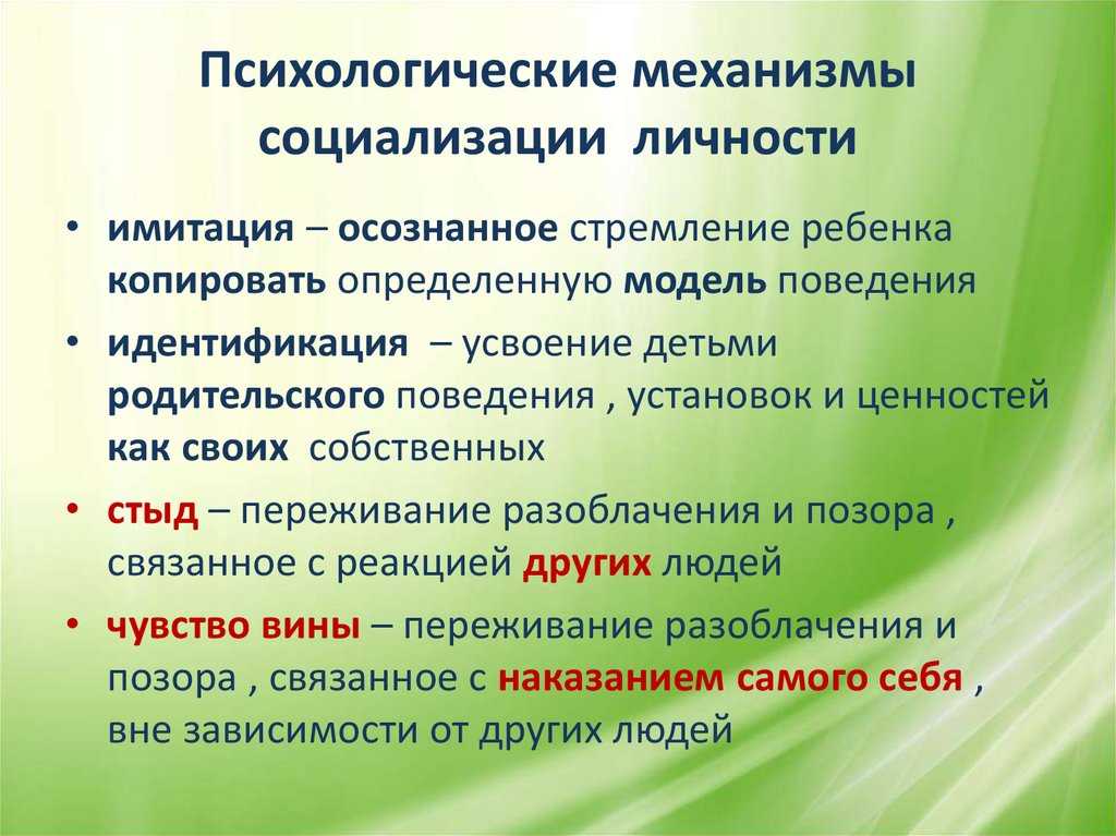 Понятие социализации презентация