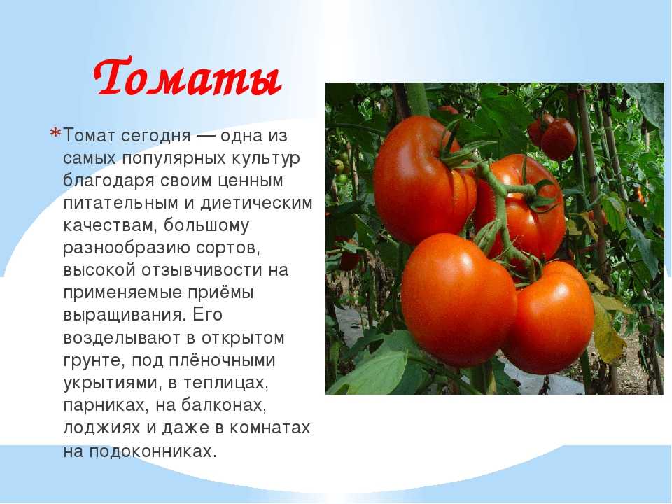 Heces rojas por tomate