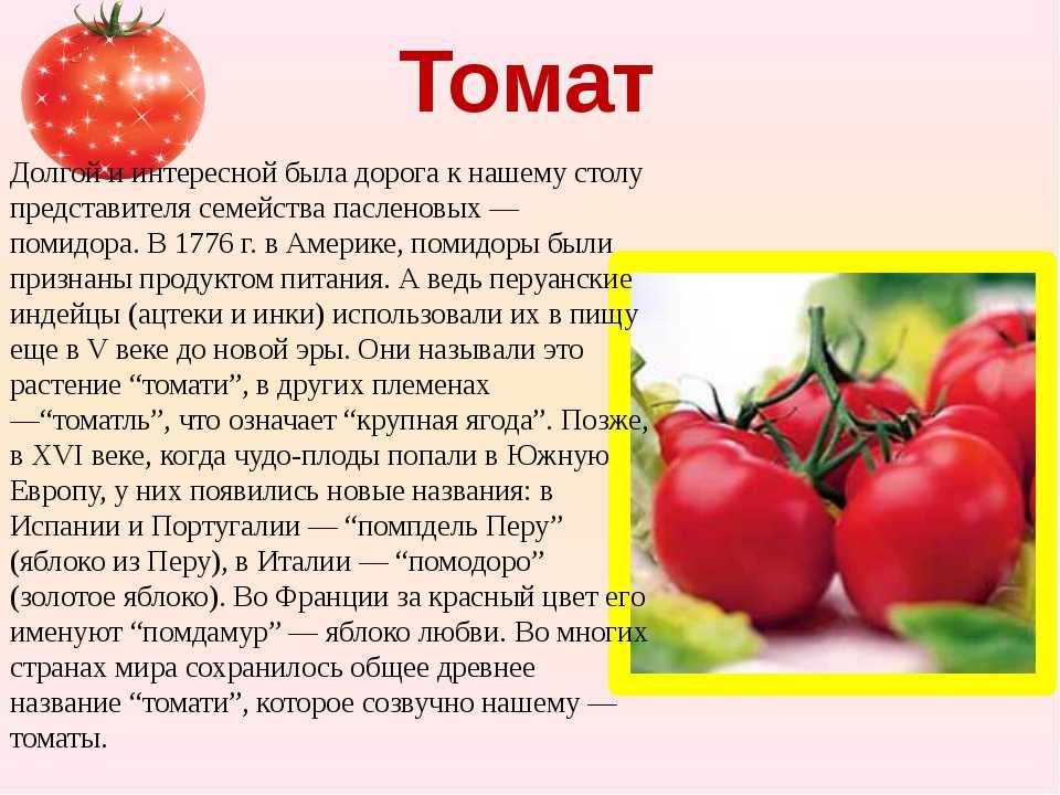 Cenar tomate engorda