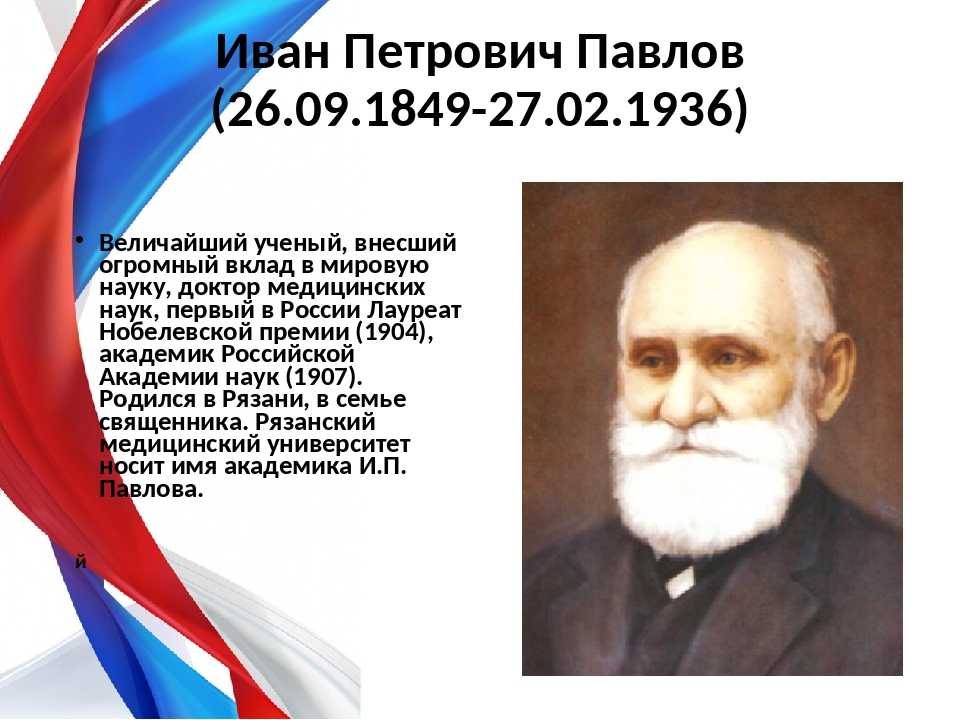 Краткая биография павловой. Павлов Иван Петрович величайший ученый. Выдающиеся учёные России Иван Петрович Павлов. Вклад в науку биологию и. п. Павлова. Вклад Ивана Павлова.