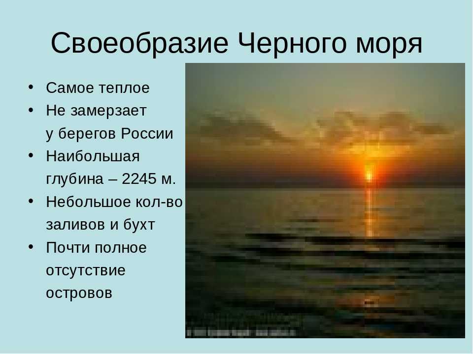 Черное море проект 4 класс