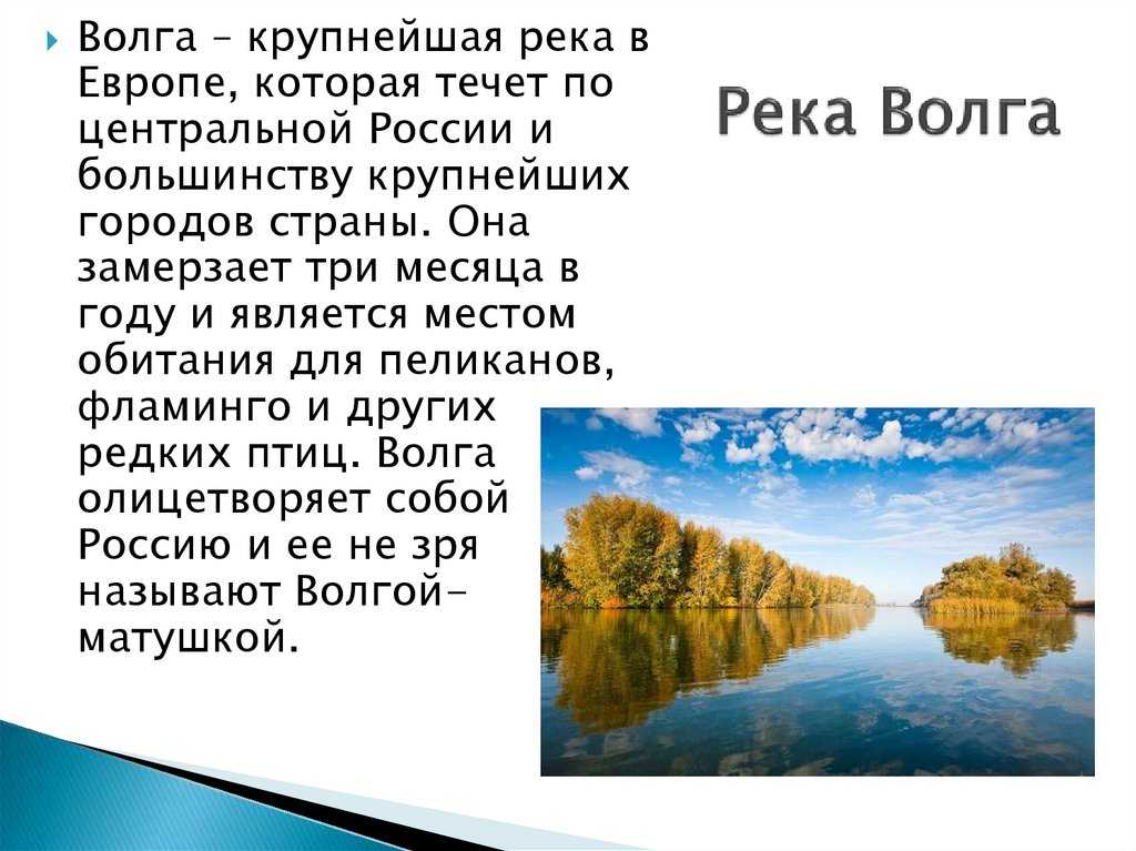 Проект волга русская река