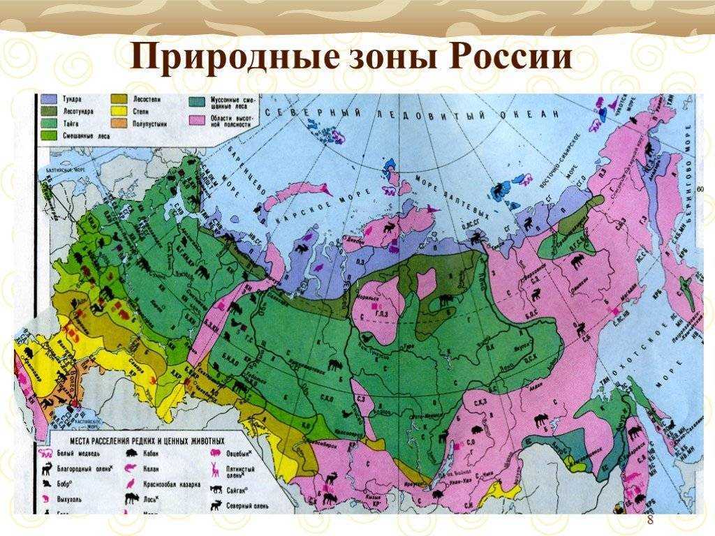 Различие природных зон россии