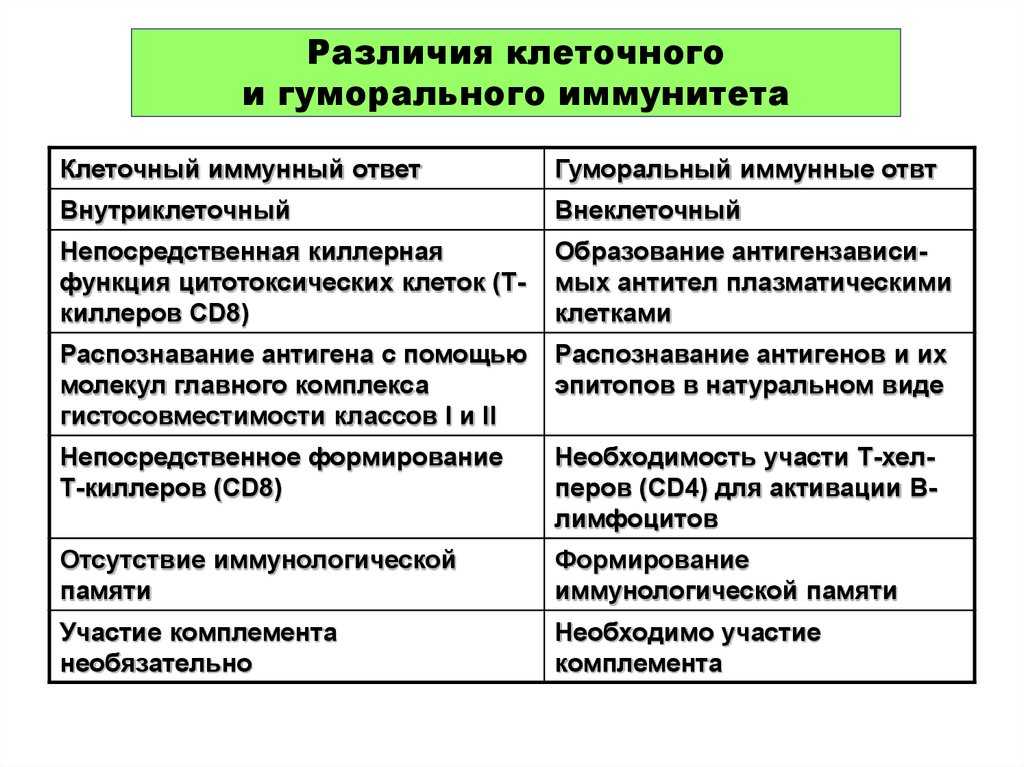 Клеточный иммунитет и гуморальный иммунитет презентация