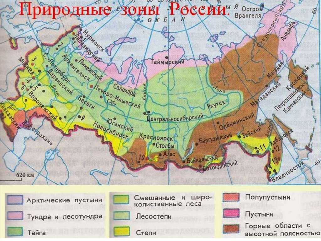 Природные зоны картинка 4 класс