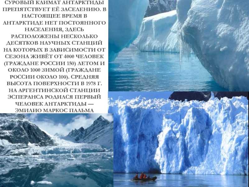 193 самых интересных факта об антарктиде