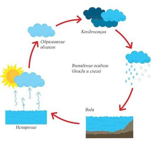 Как получается дождь в природе для детей в картинках