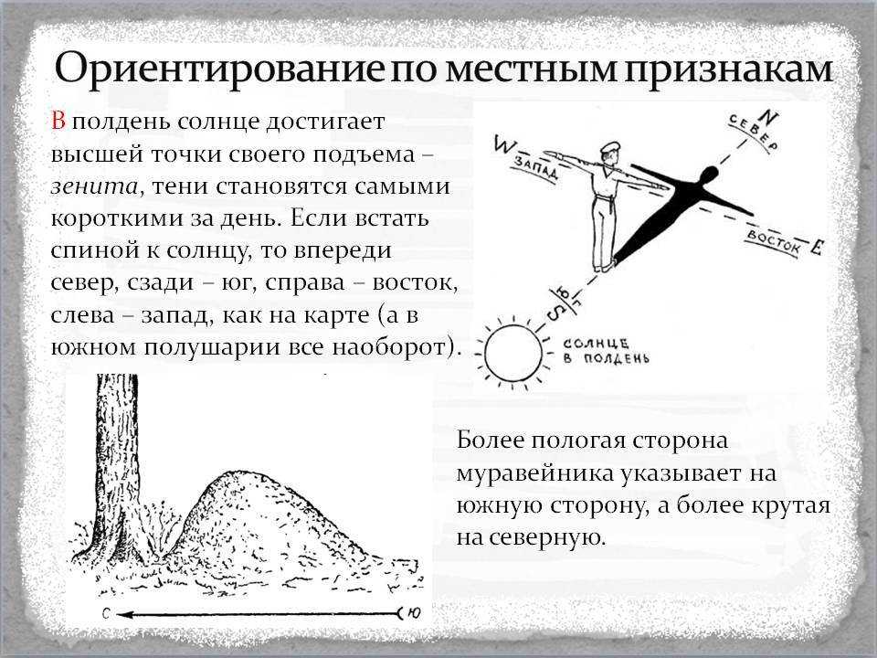 Ориентирование в лесу презентация