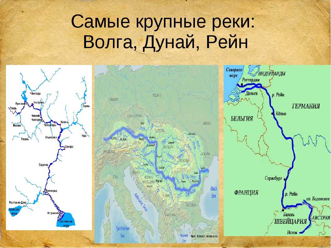 Самая длинная река евразии ответ. Самые крупные реки Волга Дунай Рейн. Бассейн реки Волга. Река Рейн на физической карте Евразии. Река Волга на карте.